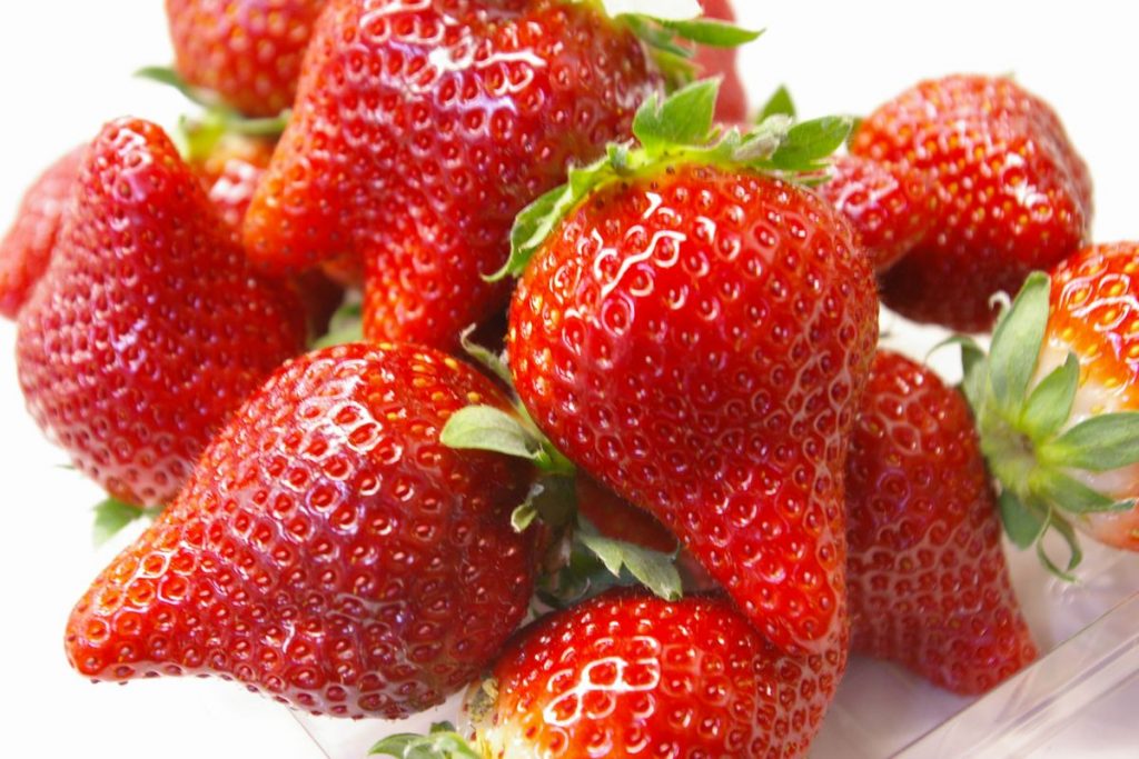 とちおとめ・スカイベリー・とちひめが60分食べ放題！ 栃木「いちごの里」で1月1日から『いちご狩りDX』を実施